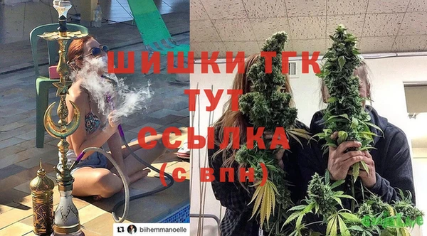 гидра Алексеевка