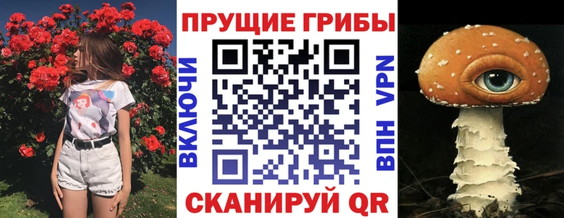 купить закладку  Топки  Псилоцибиновые грибы Cubensis 