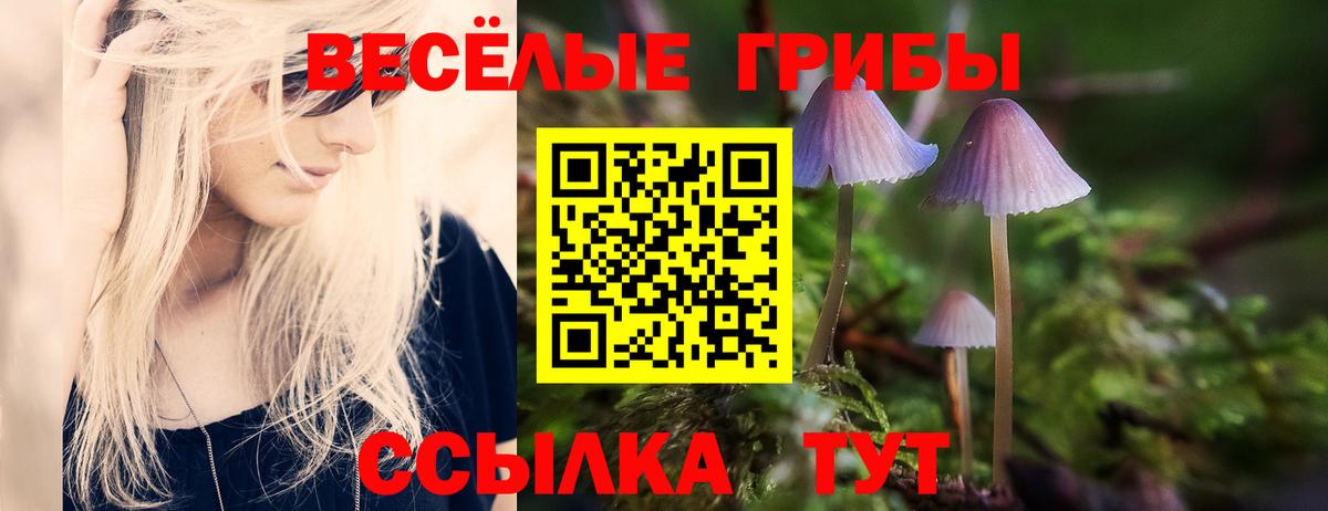 Псилоцибиновые грибы ЛСД  цены   Топки  Галлюциногенные грибы Cubensis  Вход с VPN 
