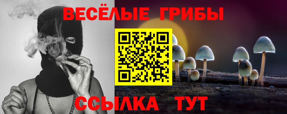 Псилоцибиновые грибы прущие грибы Топки